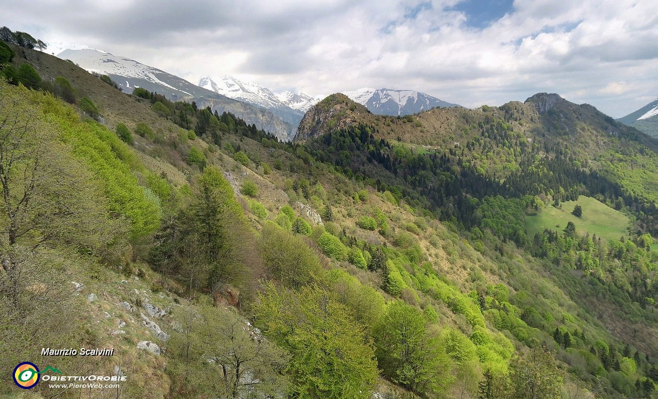 51 Panorama verso il Monte Castello....JPG